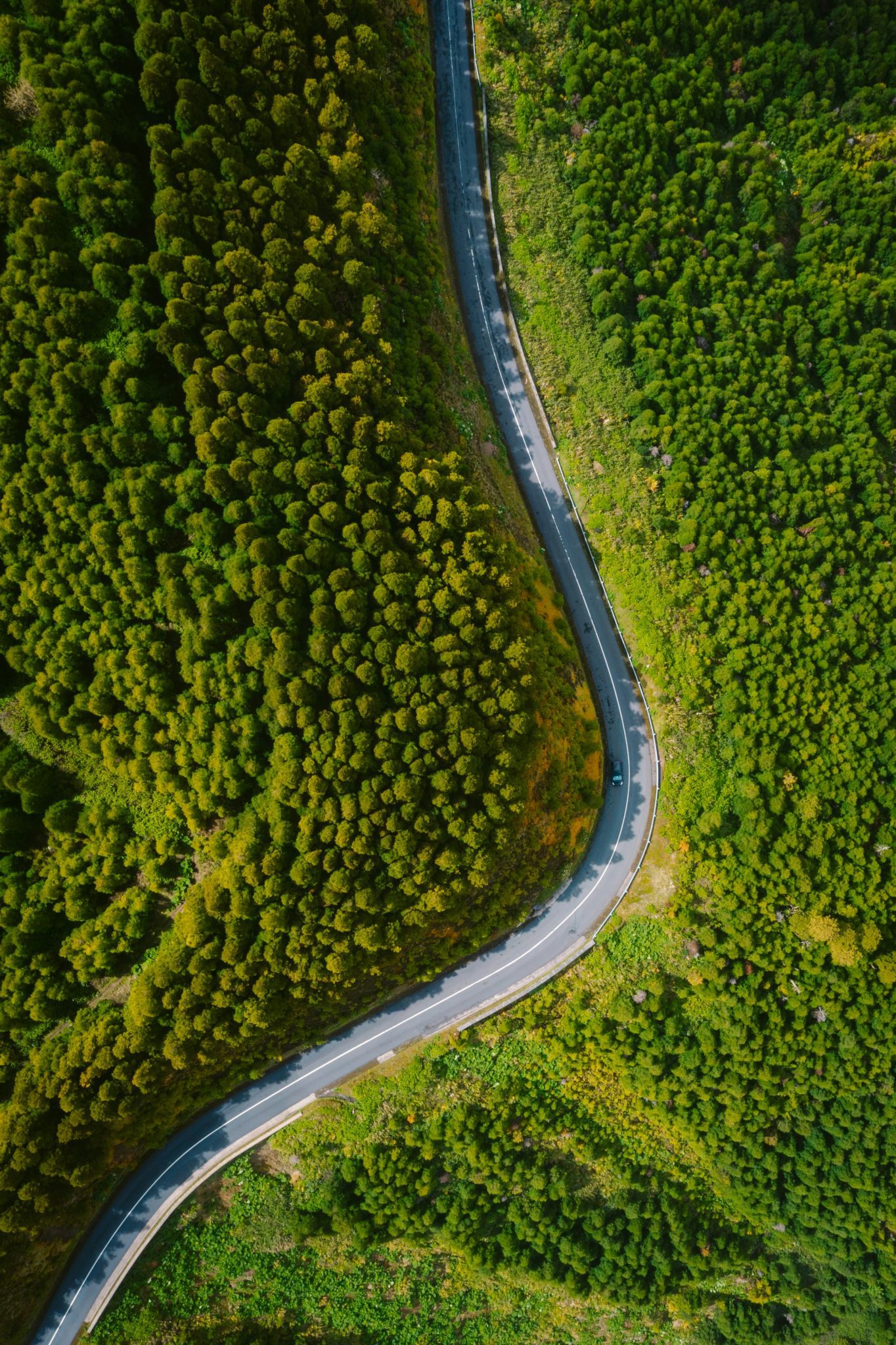 Long Road Long Road