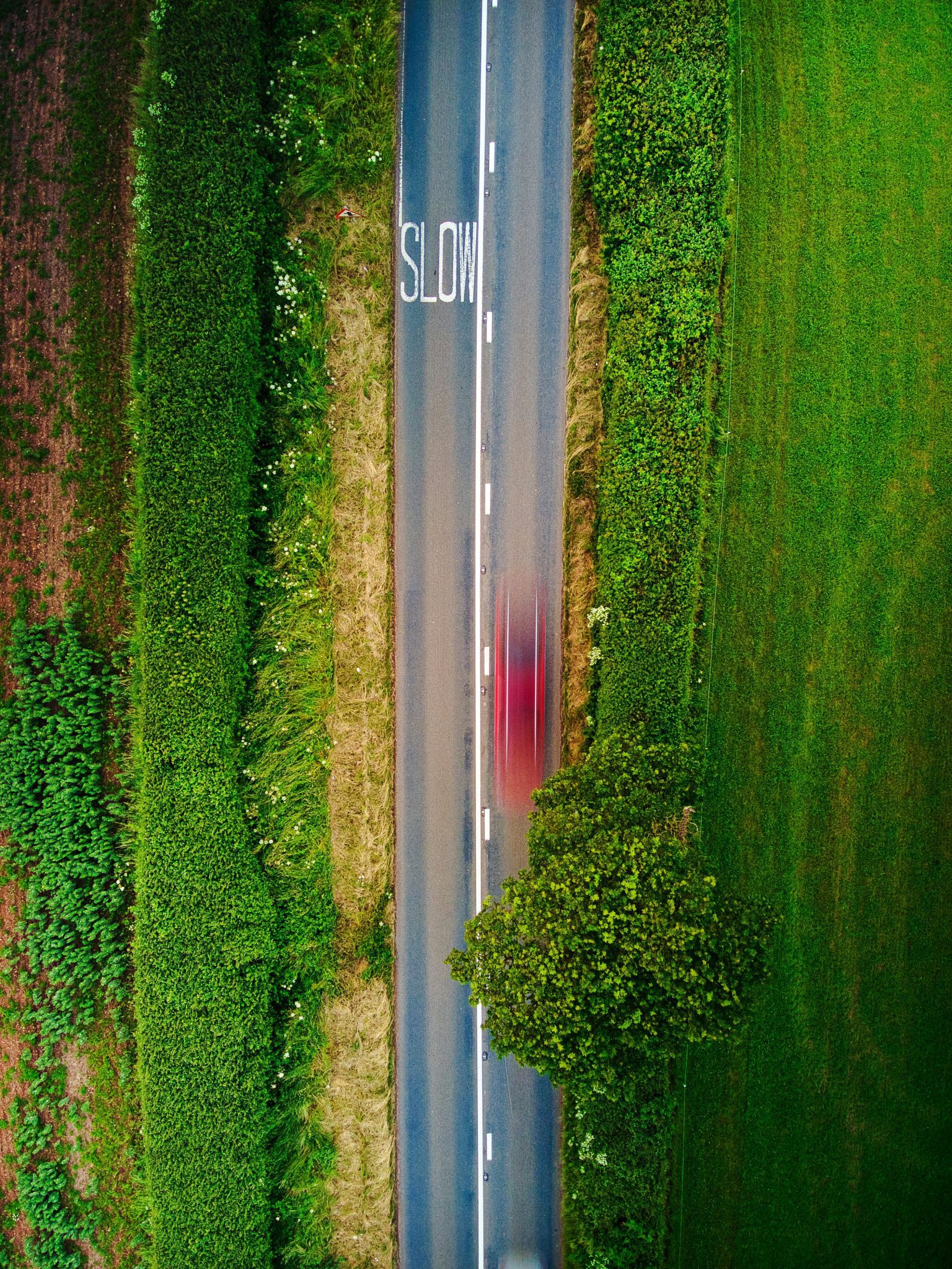 Road-and-Trees